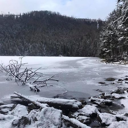 Penzion Pod Zdanovem Nezdice Dış mekan fotoğraf